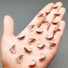 Fly Fishing Flies 2 Box Bundle(Total 18Pcs Flies)-Flies Wet Flies Artificial Nymph Bait for Fishing Trout/Bass Artificial Bait