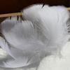 100 Stück 5-8 cm kleine flauschige Gänsefedern, farbig gefärbte Schwanenfedern für DIY Karnevalsparty-Dekoration, Bastelzubehör
