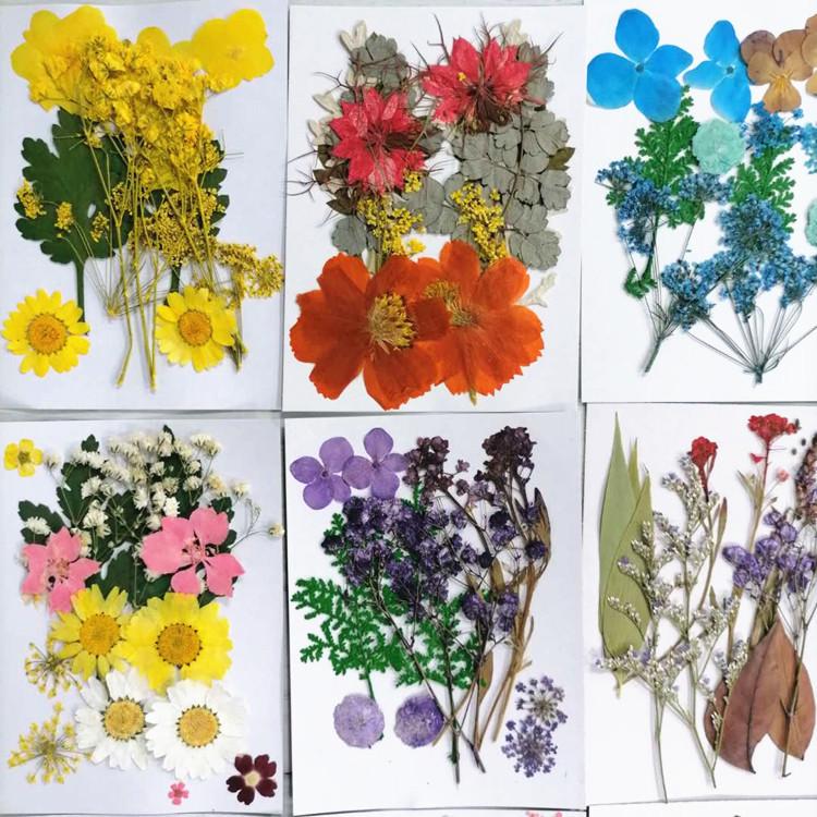 Pressed Dried Flower DIY Kit: Bookmark, Resin, & Phone Case Embossing Materials