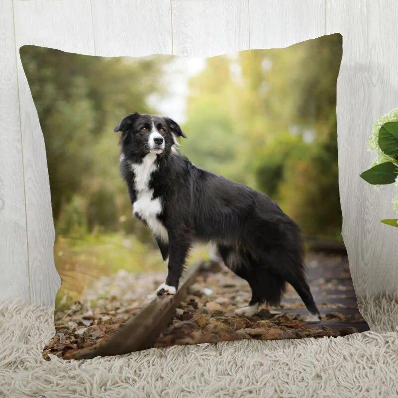 Pillowcase Border Collie  Modern Home Living Room Decor