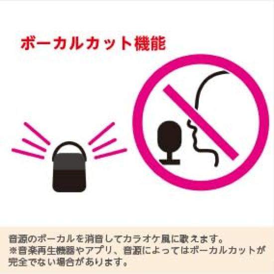 LITHON Yoidore Speaker Microphone Perfect for everyday use as a or for karaoke after a night out at Microphone and speaker set with vocal cut & SP-43.