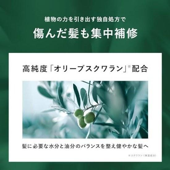 BOTANIST Hair Oil Moist 80ml