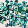 Nail Art Shell Slices DIY Nail Art Decorations Shell Fragments Ornament Nail Art Abalone Slices