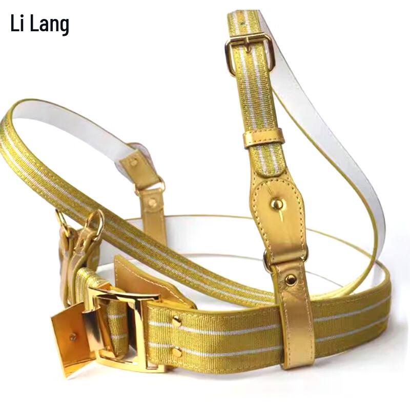 Церемониальный пояс Почетного караула