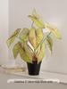 Artificial Green Plants for Indoor Decor – Potted Ornaments for Living Room or Coffee Table