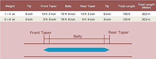 DT-6F Double Taper Floating Fly Line, 100FT (30.5m) (White)