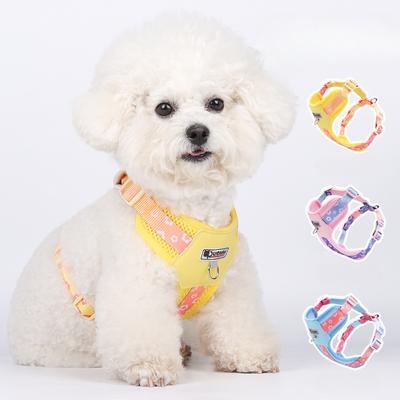 Köpek – Köpek Tasmaları ve Tasma Kayışları