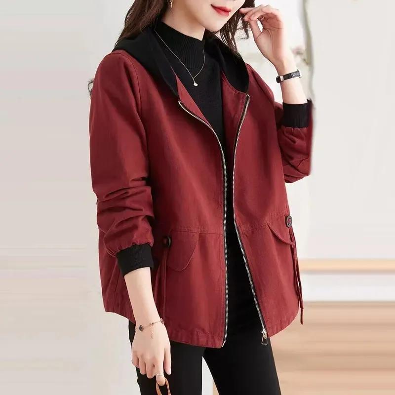 Women's Short Jacket Denim Spring and Autumn Fashion Popular Jacket Top Hooded Windbreaker