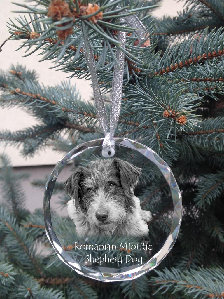 Romanian Mioritic Shepherd Dog – Crystal bauble with a photo, dog photo in crystal | Art-Dog
