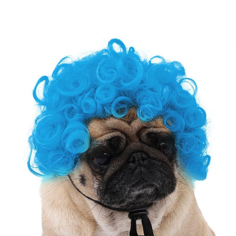 Are 10 Here Suggested Titles For The Pet Wig Product Based On The Information Provided