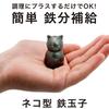 CLEAN HOUSE Iron Egg, Made In Japan with Nanbu Ironware, Cat-Shaped, Made In Iwate Prefecture, Instructions Included, Iron Supplement, Cookware, Remov