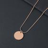 Stainless Steel Snake Bone Chain Necklace - Minimalist European and American Design, Perfect for Festivals or as a Gift