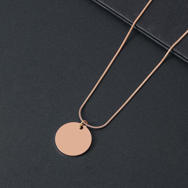 Stainless Steel Snake Bone Chain Necklace - Minimalist European and American Design, Perfect for Festivals or as a Gift