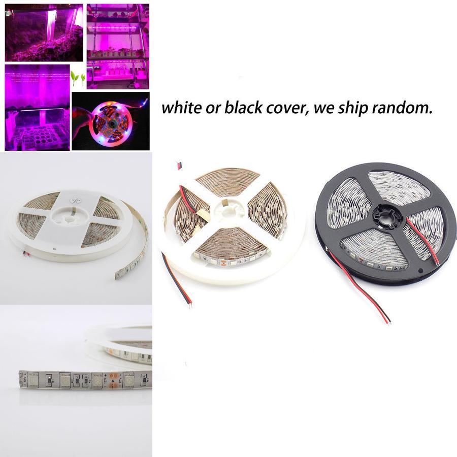 Premium Quality Led Grow Lights Waterproof Growing Led Strip For Seedlings And Greenhouse
