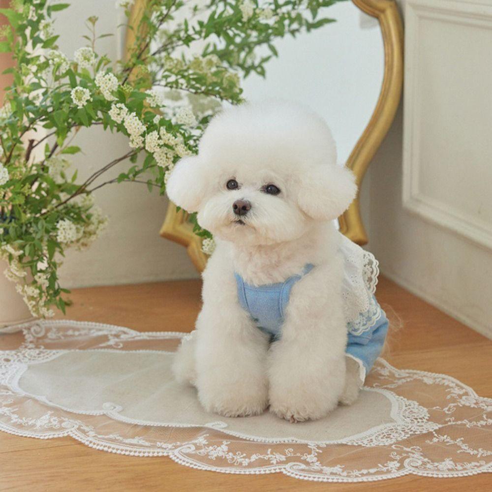 Breathable Pet Overalls Fashion Dog Pajamas Pet Supplies Pet Lace Jumpsuit Autumn
