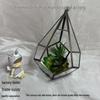 European Style Copper Edge Geometric Glass Greenhouse Preserved Flower and Succulent Decorative Box