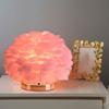 Plume Bedside Table Lamp E27 Decorative Modern Plume Night Light Nightstand Lamp for Living Room Bedroom Wedding Decor