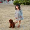 New Spring/Autumn Long Sleeve Cotton Princess Dress for Girls with Mesh and Puffy Design