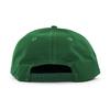 NASCAR GOLFER SNAPBACK CAP NASCAR SNAPBACK CAP Stock Car Racing Earnhardt [New Era] (Dale Jr. (Green)) [Used]
