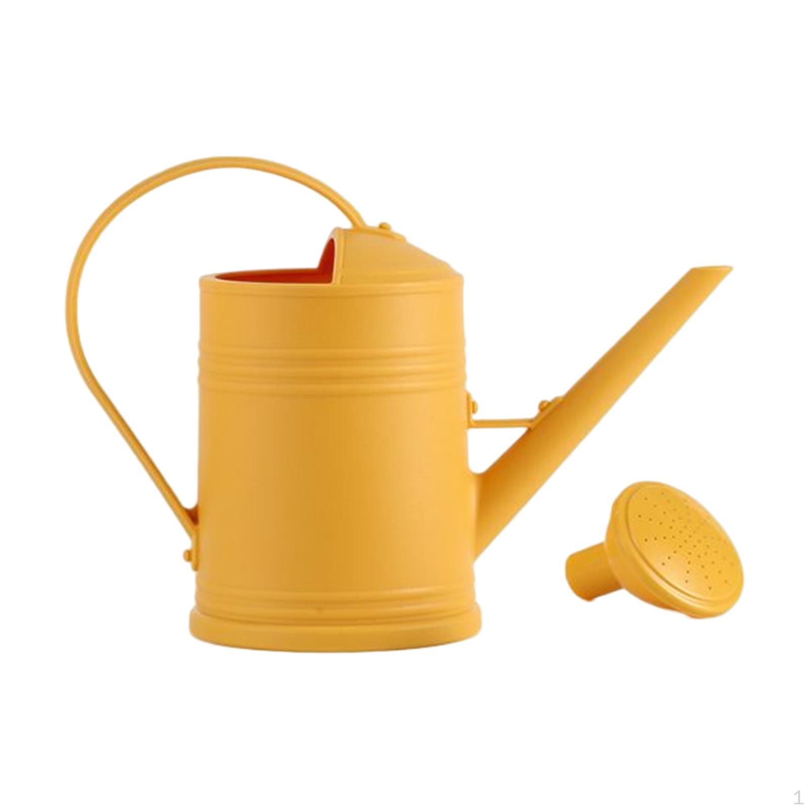 

Лейка 2000 мл, Декоративные садовые инструменты, Длинная насадка, Практичная, Матовое стекло для