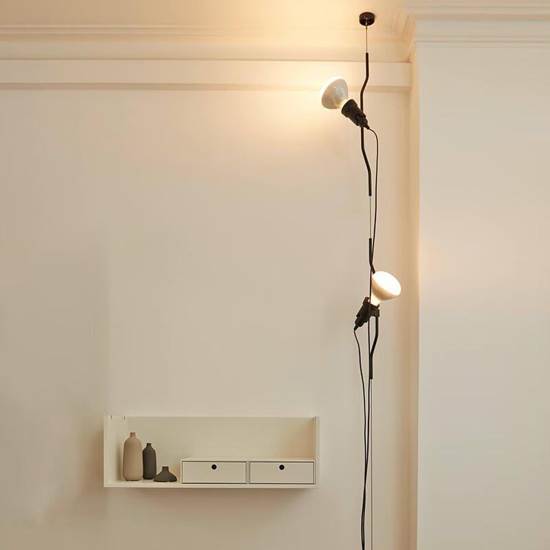 

Modern Two-Head Black Pendant Lamp