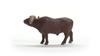 Schleich Wildlife Afrikanischer Büffel 14872