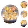 Night Light Bedside Lamp Home Decor Decorative Ornament Jellyfish Desk for Living Room