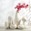 Wasabi Style Creative Dried Flower Arrangement White Brushed Ceramic Vase Ornaments Living Room Restaurant Home Decoration Hot