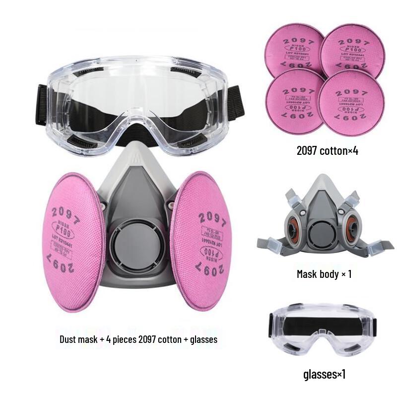 Brangdy Dust Mask with Goggles and Filters Standard