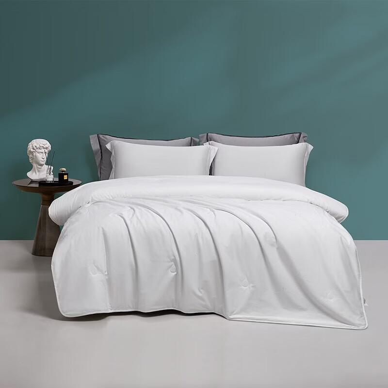 LUOLAI All-Season Tussah Silk Quilt