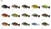 Deps Bulldoze Floating Lure 160mm 98 Grams 10 (6106)