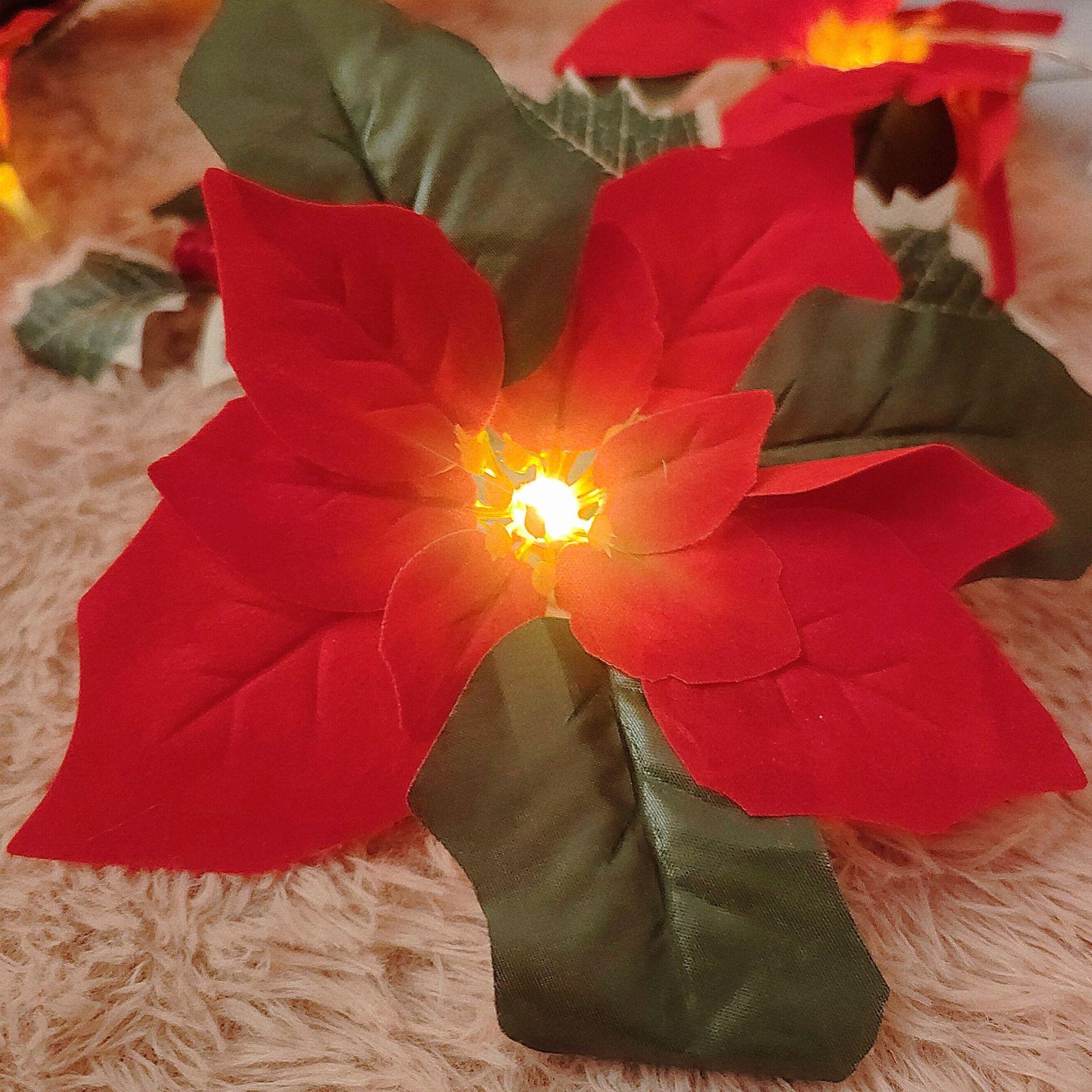 

LED Christmas Poinsettia String Lights - Red Flower & Berry Holiday Fairy Lights 2m 10 lights constant battery box