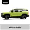 Haval H6 Cool Dog Touch-Up Pen, Black Spot & Ruixue White Scratch Repair Paint
