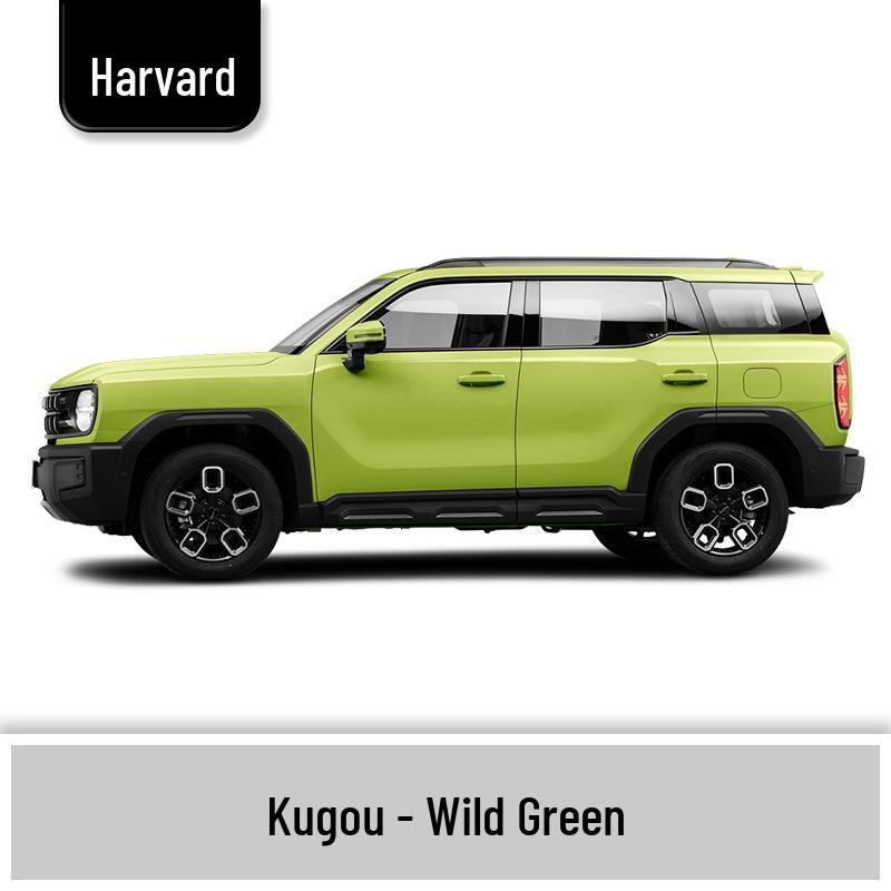 Haval H6 Cool Dog Touch-Up Pen, Black Spot & Ruixue White Scratch Repair Paint