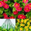 168 Flowers and 12 Forks Artificial Violet Hanging Flower Vines Wall Decor Plants Garland for Wedding Home Garden Decoration