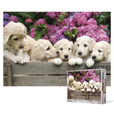 1000 Piece Jigsaw Puzzle / Labrador [510x735mm] [BN10-065] [BN] [Animal Puzzle] [Puzzle Frame], Popular Korean Puzzle