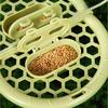 Clouds Shape Bird Perch Stand Save Space Parrots Feeders Bird Mirror Toy  Rest Platform