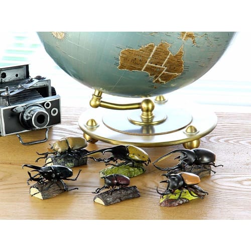 Carolata 3D Illustrated Rhinoceros Beetle Figures (6 Types / Includes Instruction Manual) Realistic Toys (Educational Toys) Birthday Gift Present (Foo