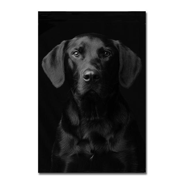 Animal Canvas Poster Printing Black Lion Zebra Dog Painting Modern Art Decoration Living Room Wall Painter