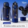 Disney 316 Stainless Steel Insulated Kids Water Bottle