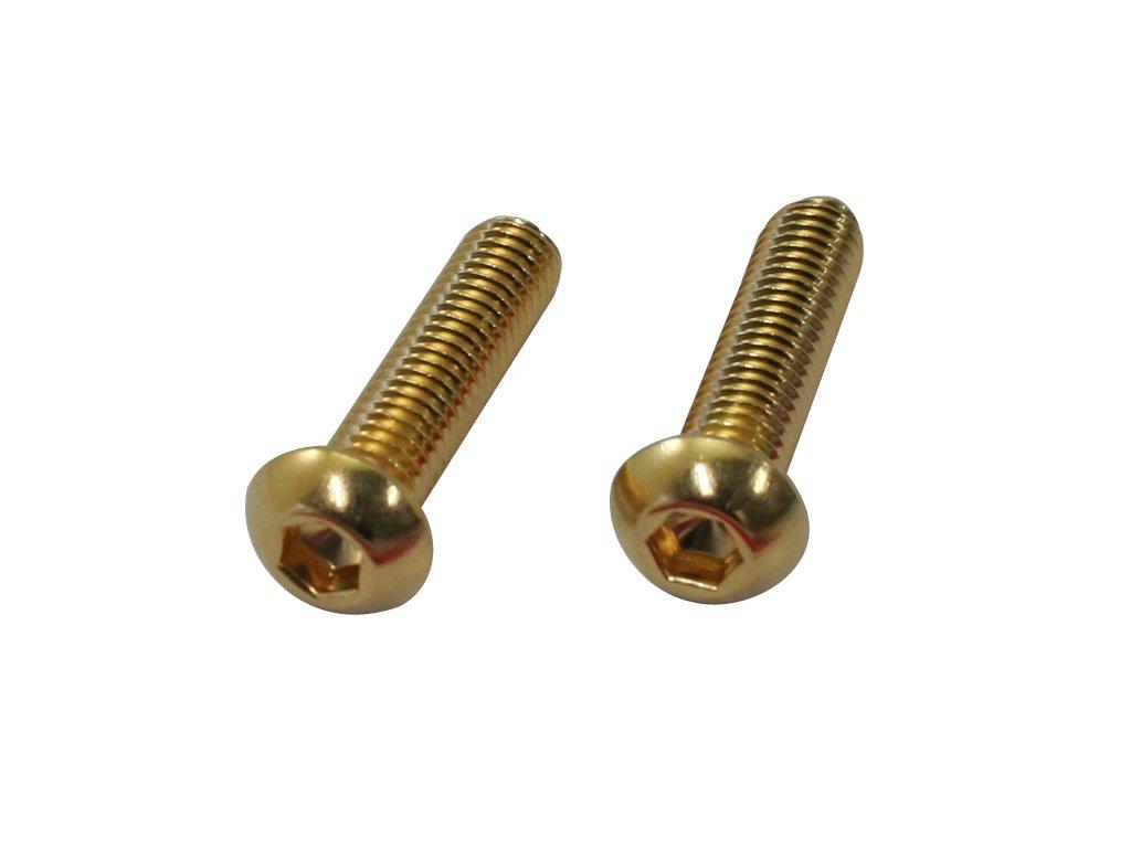 Cf Posh 811820-025 24K Plated Stainless Steel Hex Socket Button Cap Bolts M6-P1.0 X25, 2 Pieces