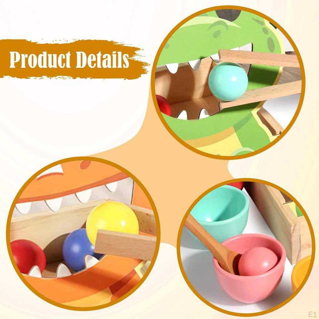 Rainbow Balls in Cups Matching Game Wooden Sensory Ball Children Development Educational Kids Color