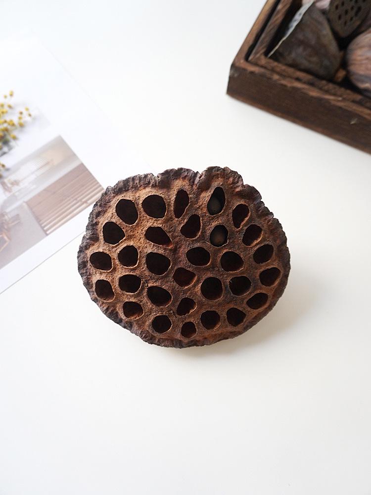 Natural Zen Style Large Lotus Head with Seeds, Dried Fruit, and Mini Lotus for Christmas Home Decoration.