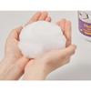 Holly Pet Dog Silky Drop Solution Shampoo, Korean Pet Shampoo