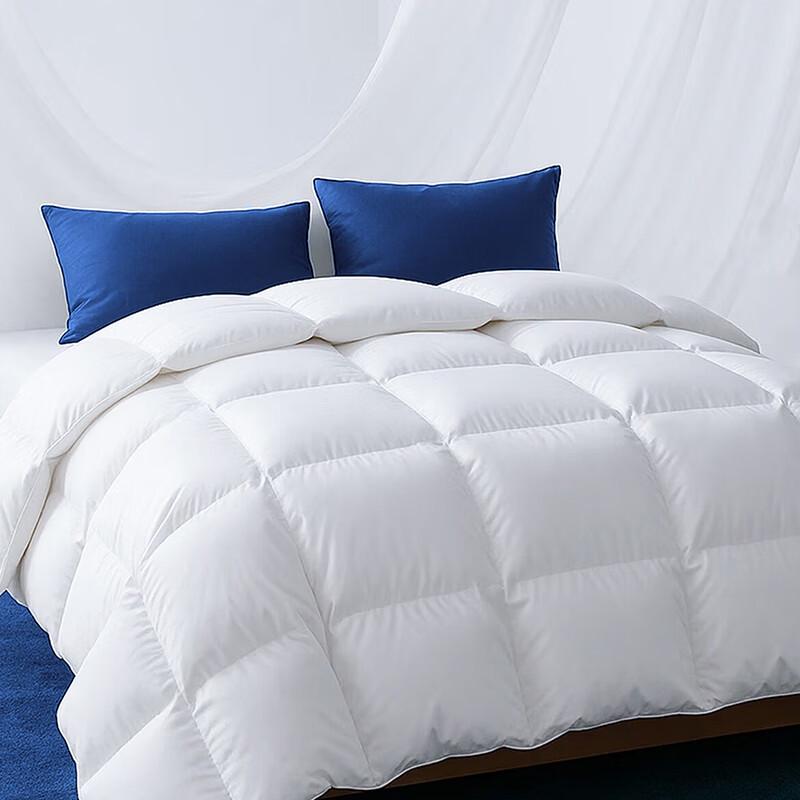 YIYERYA Class A Antibacterial White Duck Down Comforter