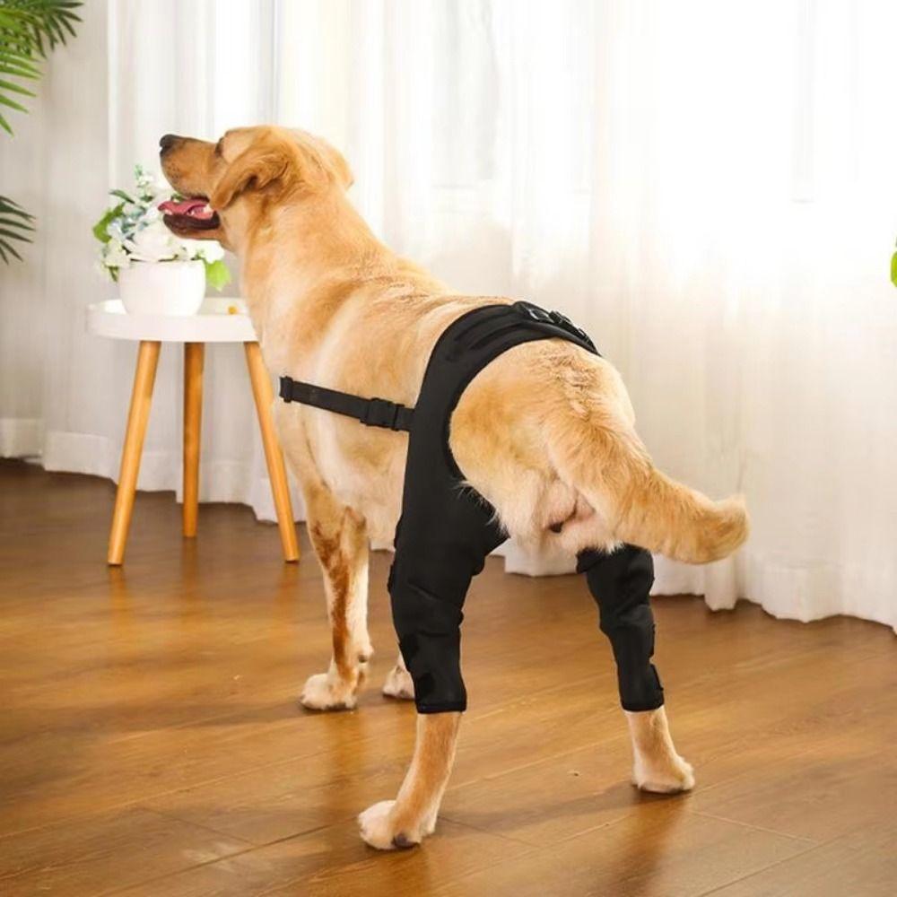 Adjustable Dog Knee Brace Breathable Rear Leg Brace Dog Leg Support Brace Dual Leg Support Anti-lick Dog Recovery Sleeve