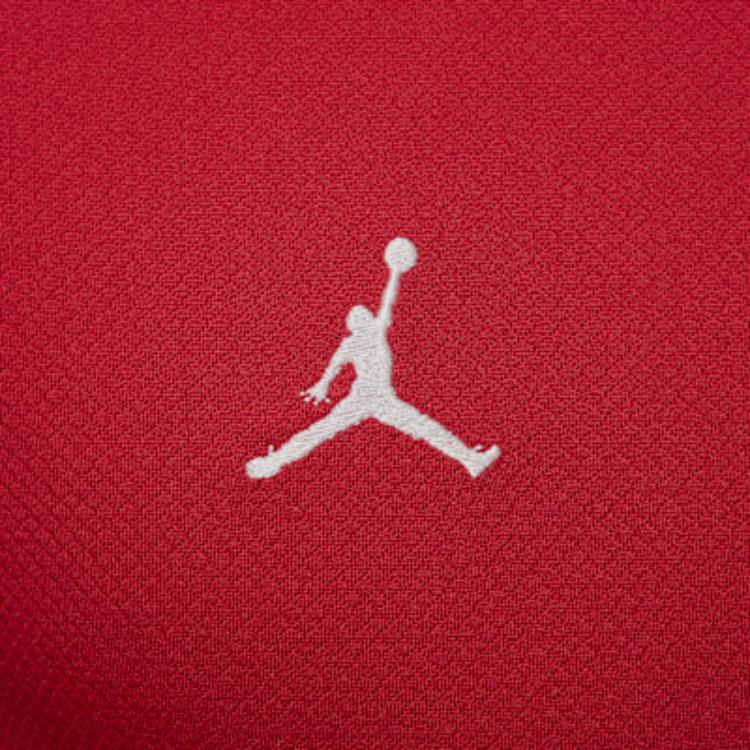 Jordan Paris Saint Germain Strike Fourth Men's Jordan Dri FIT Soccer Knit Short Sleeve Top HJ3389-660