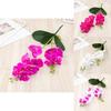Pvc Butterfly Orchid Fake Flower With Soft Feel For Home Decor And Creative Photography Displays