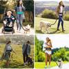 Outdoor Sport Pet Waist Bag Traction Rope Reflective Anti Explosion Pet Traction Rope Stretchable Elastic Belt For Dog Leash