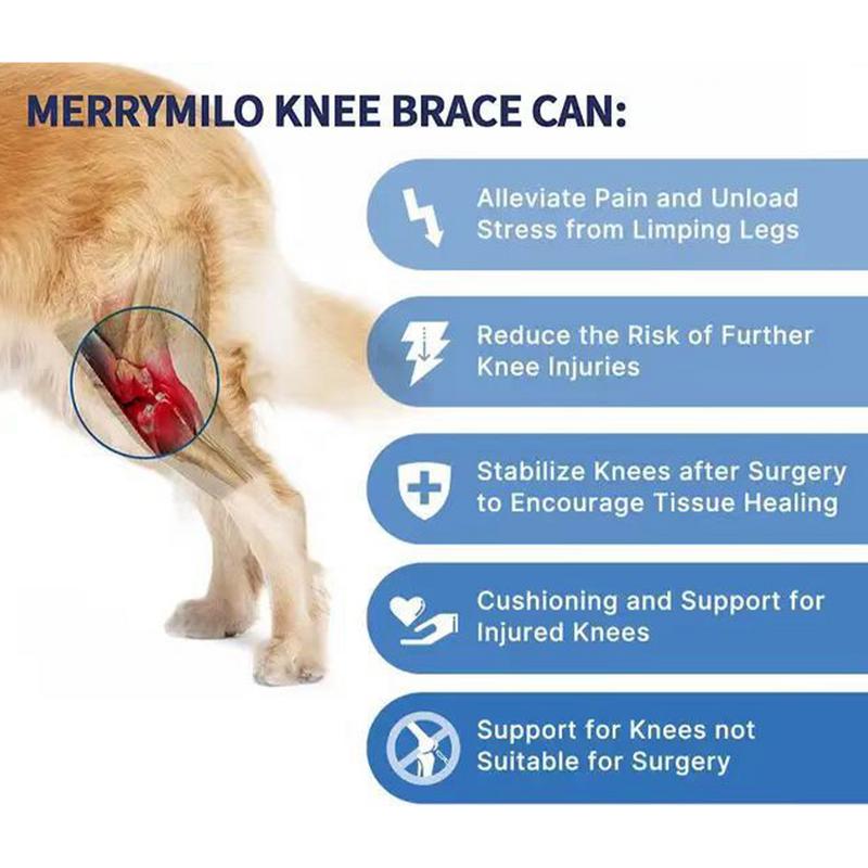Genouillère Noire Réglable Pour Chien, Attelle De Jambe Arrière, Genouillère Confortable Pour Les Soins Des Blessures, Protecteur 